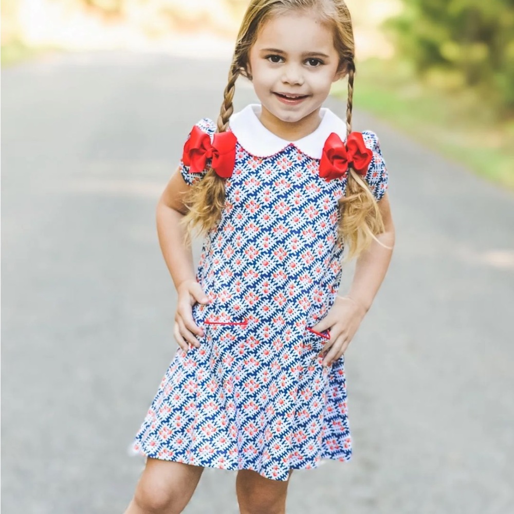 NWT! The Proper Peony Apple Plaid A-Line Dress